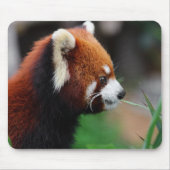 Roter Panda Mousepad (Vorne)