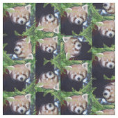 Roter Panda-Muster Stoff (Nahaufnahme)