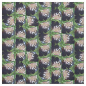 Roter Panda-Muster Stoff (Muster)