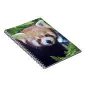Roter Panda Notizblock (Rechte Seite)
