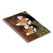 Roter Panda Notizblock (Rechte Seite)