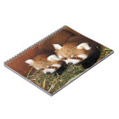 Roter Panda Notizblock (Linke Seite)