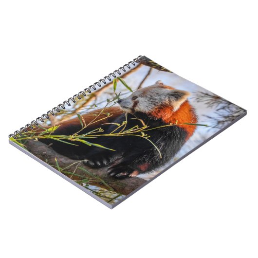 Roter Panda Notizblock (Linke Seite)