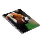 Roter Panda Notizblock (Rechte Seite)