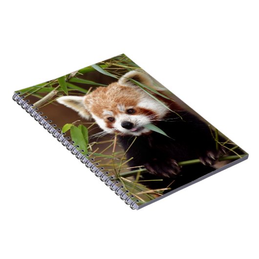 Roter Panda Notizblock (Rechte Seite)