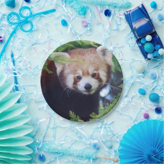 Roter Panda Pappteller (Party)