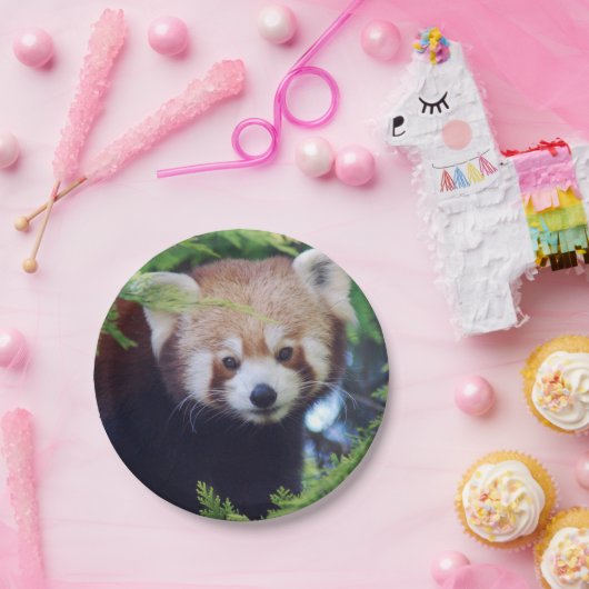 Roter Panda Pappteller (Party)