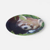 Roter Panda Pappteller (Schrägansicht)