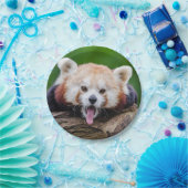 Roter Panda Pappteller (Party)