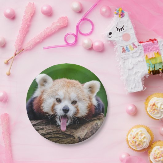 Roter Panda Pappteller (Party)