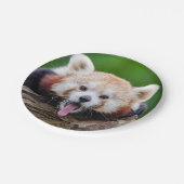 Roter Panda Pappteller (Schrägansicht)