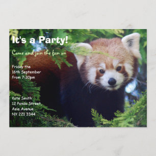 Roter Panda-Party Einladung