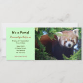 Roter Panda-Party Einladung (Vorderseite)