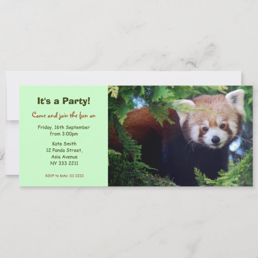 Roter Panda-Party Einladung (Vorderseite)