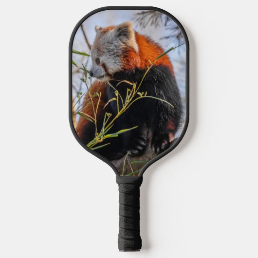 Roter Panda Pickleball Schläger (Vorderseite)