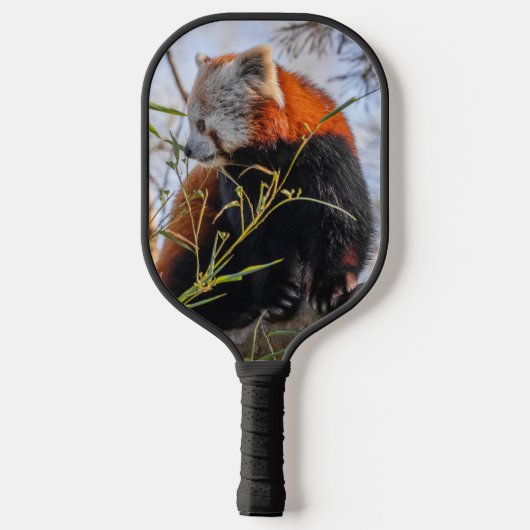 Roter Panda Pickleball Schläger (Rückseite)