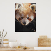 roter Panda Poster (Küche)