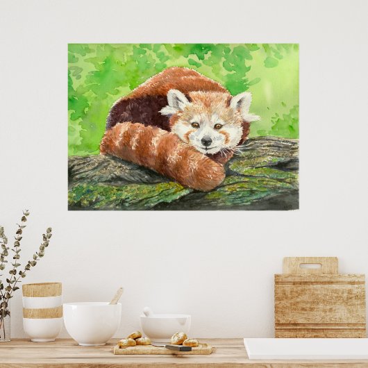 Roter Panda Poster (Küche)