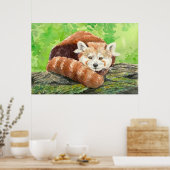 Roter Panda Poster (Küche)