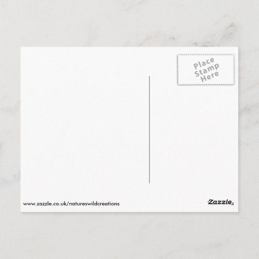 Roter Panda Postkarte (Rückseite)