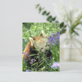 Roter Panda Postkarte (Stehend Vorderseite)