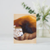 roter Panda Postkarte (Stehend Vorderseite)