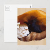 roter Panda Postkarte (Vorne/Hinten)