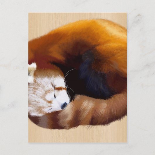 roter Panda Postkarte (Vorderseite)
