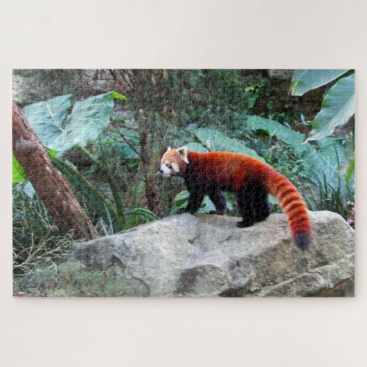 roter Panda Puzzle (Horizontal)