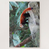 roter Panda Puzzle (Vertikal)