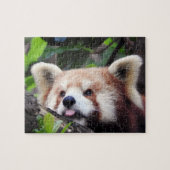 Roter Panda Puzzle (Horizontal)
