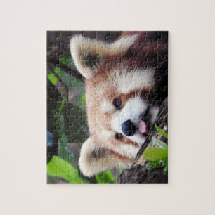 Roter Panda Puzzle
