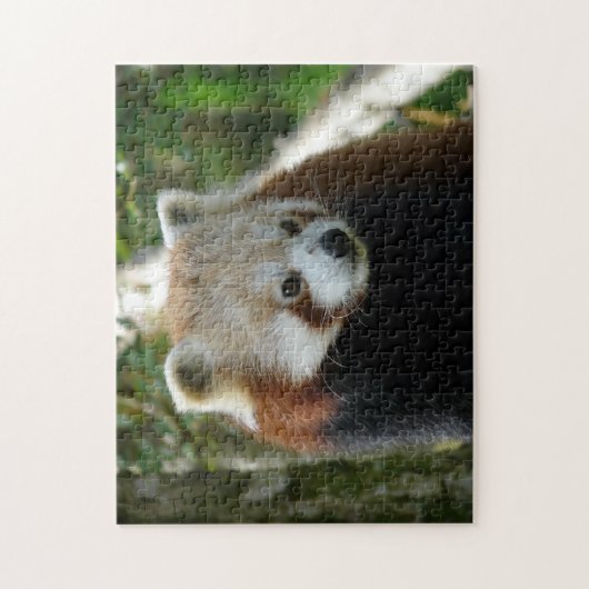 roter Panda Puzzle (Vertikal)