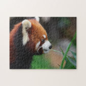 Roter Panda Puzzle (Horizontal)