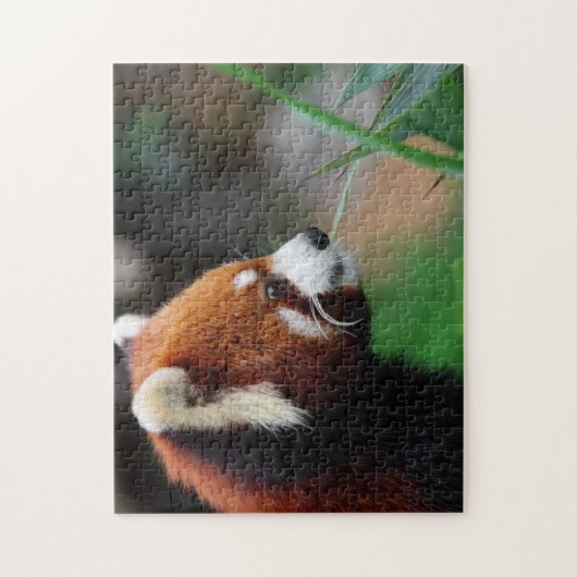 Roter Panda Puzzle (Vertikal)