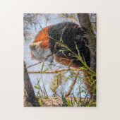 Roter Panda Puzzle (Vertikal)