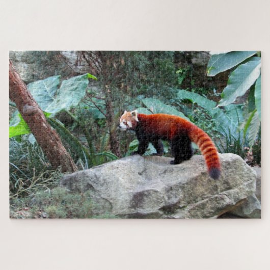 roter Panda Puzzle (Horizontal)