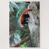 roter Panda Puzzle (Vertikal)