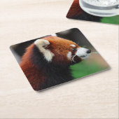 Roter Panda Rechteckiger Pappuntersetzer (angewinkelt)