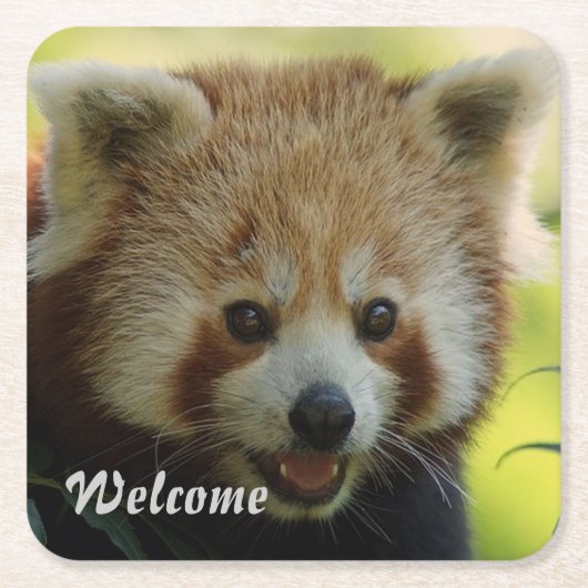 roter Panda Rechteckiger Pappuntersetzer (Vorderseite)