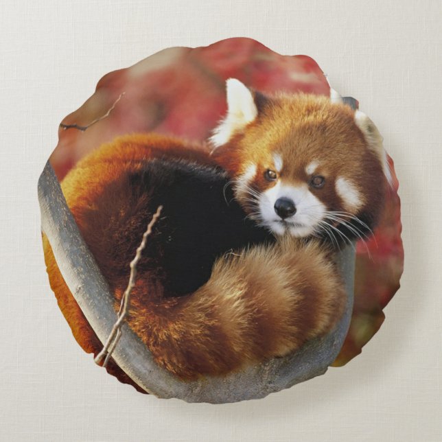 Roter Panda Rundes Kissen (Rückseite)