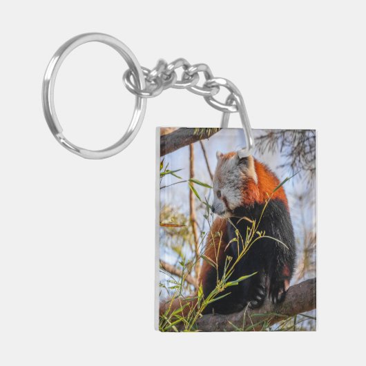 Roter Panda Schlüsselanhänger (Vorderseite links)