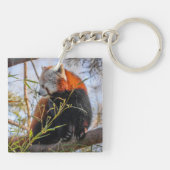Roter Panda Schlüsselanhänger (Rückseite)