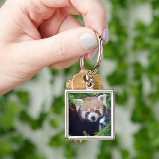 Roter Panda Schlüsselanhänger (Hand)