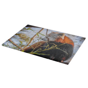 Roter Panda Schneidebrett