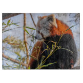 Roter Panda Schneidebrett (Vorderseite)