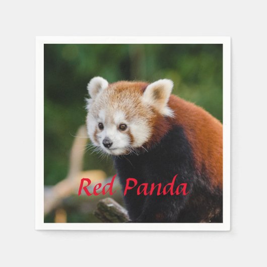 Roter Panda Serviette (Vorderseite)