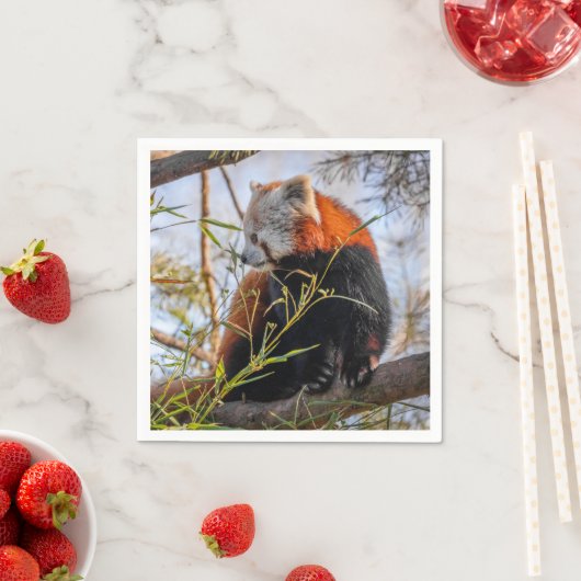 Roter Panda Serviette (Beispiel)