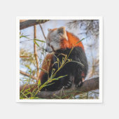 Roter Panda Serviette (Vorderseite)