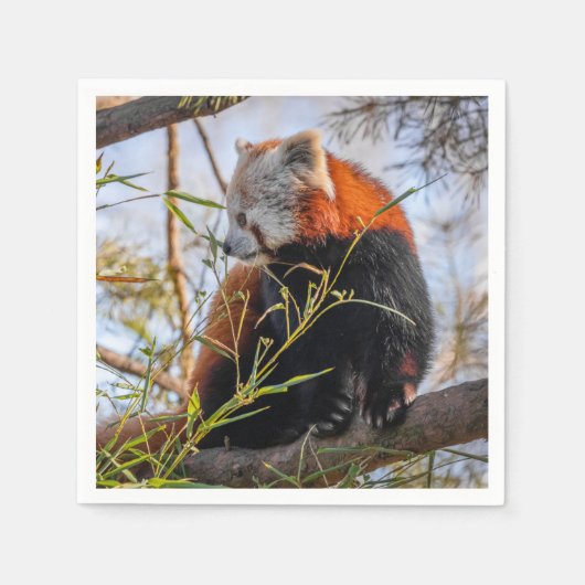 Roter Panda Serviette (Vorderseite)